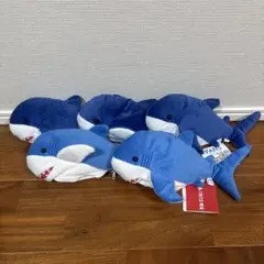 タイトー限定　FANS ピチピチシャークぬいぐるみ ５個まとめ売り