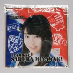 Item thumbnail for item 6661db6f-884a-4e00-b224-96ab4b757285