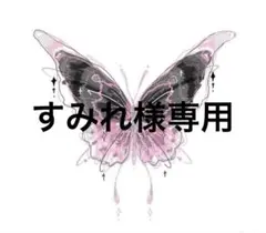 専用