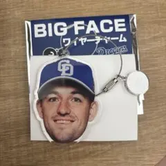 中日ドラゴンズ　ドラゴンズストア　BIG FACE ワイヤーチャーム　ボスラー