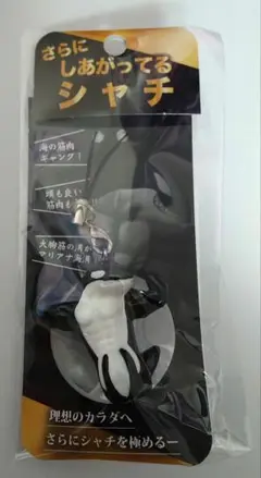 【新品】さらに、しあがってるシャチ　新品未開封 須磨シーワルド　岩本照