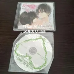 ドラマCD「大好きな彼とHして腕まくらでピロートークされちゃうシリーズ」～年上…