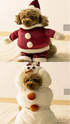 Item thumbnail for item 359c22c9-8382-4706-9ce1-ca02345ce22a