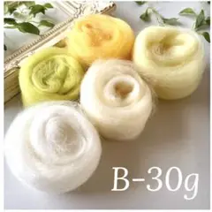 【羊毛・B・30ｇ】羊毛フェルト【匿名配送】まとめ売り 小分け ニードルフェルト