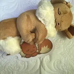 イーブィ　ぬいぐるみ　ポケモンセンターオリジナル
