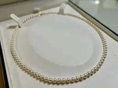 Item thumbnail for item 025c8df0-20c6-472e-9a90-914d7b9e0140