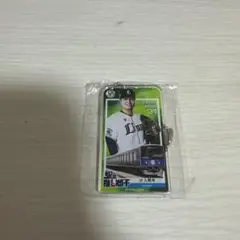 甲斐野央選手 キーホルダー 34