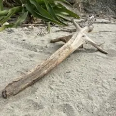 Item thumbnail for item fa1a4659-a4b5-4a4f-a7ed-544e64e0d3d9