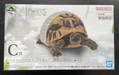 一番くじ 爬虫類&両生類 C賞