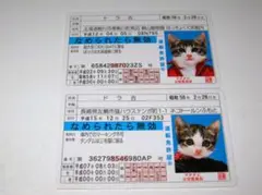 Item thumbnail for item cc039fea-0e00-42a6-8273-3e16f4a53ca3