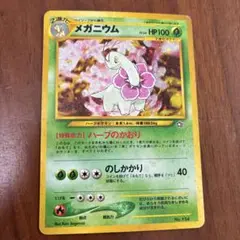 メガニウム_プレミアムファイル PROMO 第1世代 1996~1999
