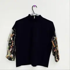 袖が刺繍シースルーデザインのブラウス