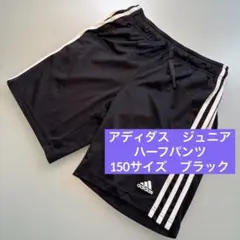 Item thumbnail for item c5cc8e2f-7df9-4e58-9498-794eee6c6a07