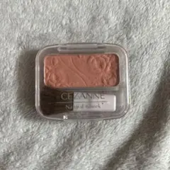Item thumbnail for item 96e7df53-b45a-4ff1-bc93-1b724536e9ef