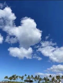 確認用
