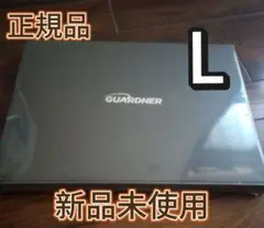 Item thumbnail for item 95a0ce2f-0d3e-4739-9231-af17ce46e3a2