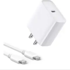 20W PD 充電器 Type-C 超軽量急速充電器 USB C -