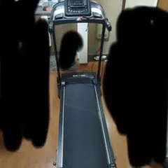 15.16日限定値下げ中　BARWING 折りたたみトレッドミル　直接のみ