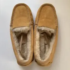 Item thumbnail for item 04af90e9-1805-4dc1-9764-dea588fdde38