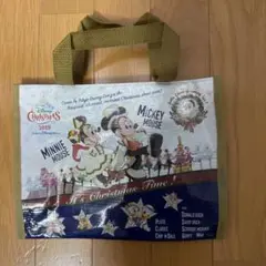 ディズニーチャリティクリスマスバッグ 2019 美品