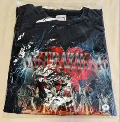 Item thumbnail for item f6a37e3f-f4a8-4639-a536-49b223ec6be5