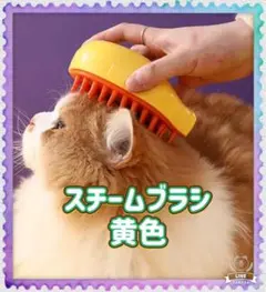 Item thumbnail for item 11e960ff-18cb-46f4-bfb0-aff05bec25ba