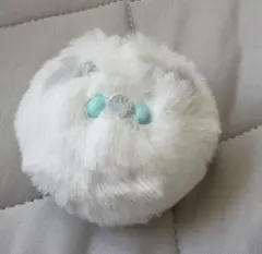 にゃんぱさ シャムにゃんぱさ