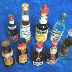 古酒リキュールミニボトル9本セット