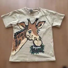 キリン　Tシャツ130