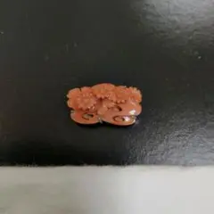 サンゴ帯留め
