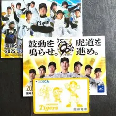 【美品】阪神タイガース ICOCA トラッキーバージョン（デポジットのみ）