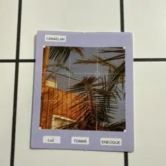 植物の写真シール 紫色