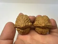 Item thumbnail for item 642d5cc9-2c5c-41ad-9769-13f2218b7240