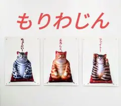 2025年最新】もりわじんの人気アイテム - メルカリ