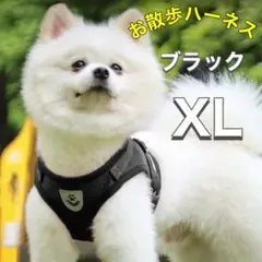 Item thumbnail for item dacf35a1-51c4-45c1-830f-66a72558e342