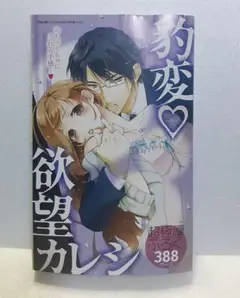 恋愛白書パステル2011年5月号ふろく本