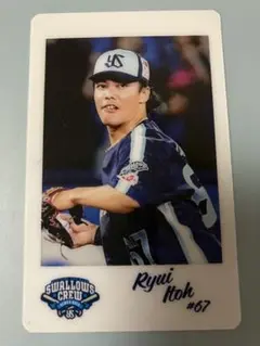 【シークレット】伊藤琉偉選手　ビジュアルチェキ風カード