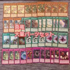 パ6731　遊戯王　真竜　デッキ　パーツ