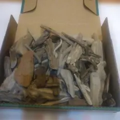 Item thumbnail for item 50466484-b8fc-4bc9-9cdf-848496b703f3