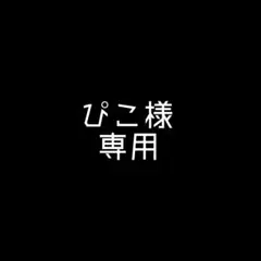 専用です。