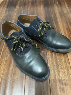 Item thumbnail for item 58f89894-b7b2-4e8c-bd9b-317f9c39ced2