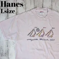 ヘインズ　アメリカ古着　Hanes Tシャツ ビッグプリント　90s 00s