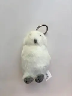 ハリーポッター ヘドウィグ キーホルダー コースターおまけ付き