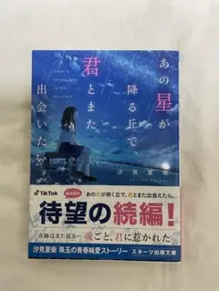 あの星が降る丘で、君とまた出会いたい。