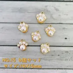 6個セット・チャーム　★肉球
