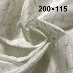 Item thumbnail for item 3103c6ba-414b-4e13-80b8-c0f42f226b0a