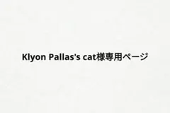 専用ページ