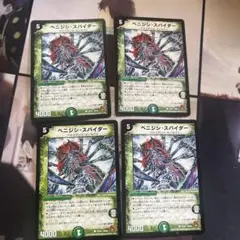 ベニジシスパイダー　7