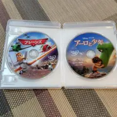 ディズニー　DVD 2枚セット プレーンズ アーロと少年　まとめ売り