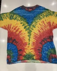 USA Tシャツ　Hanes レインボー